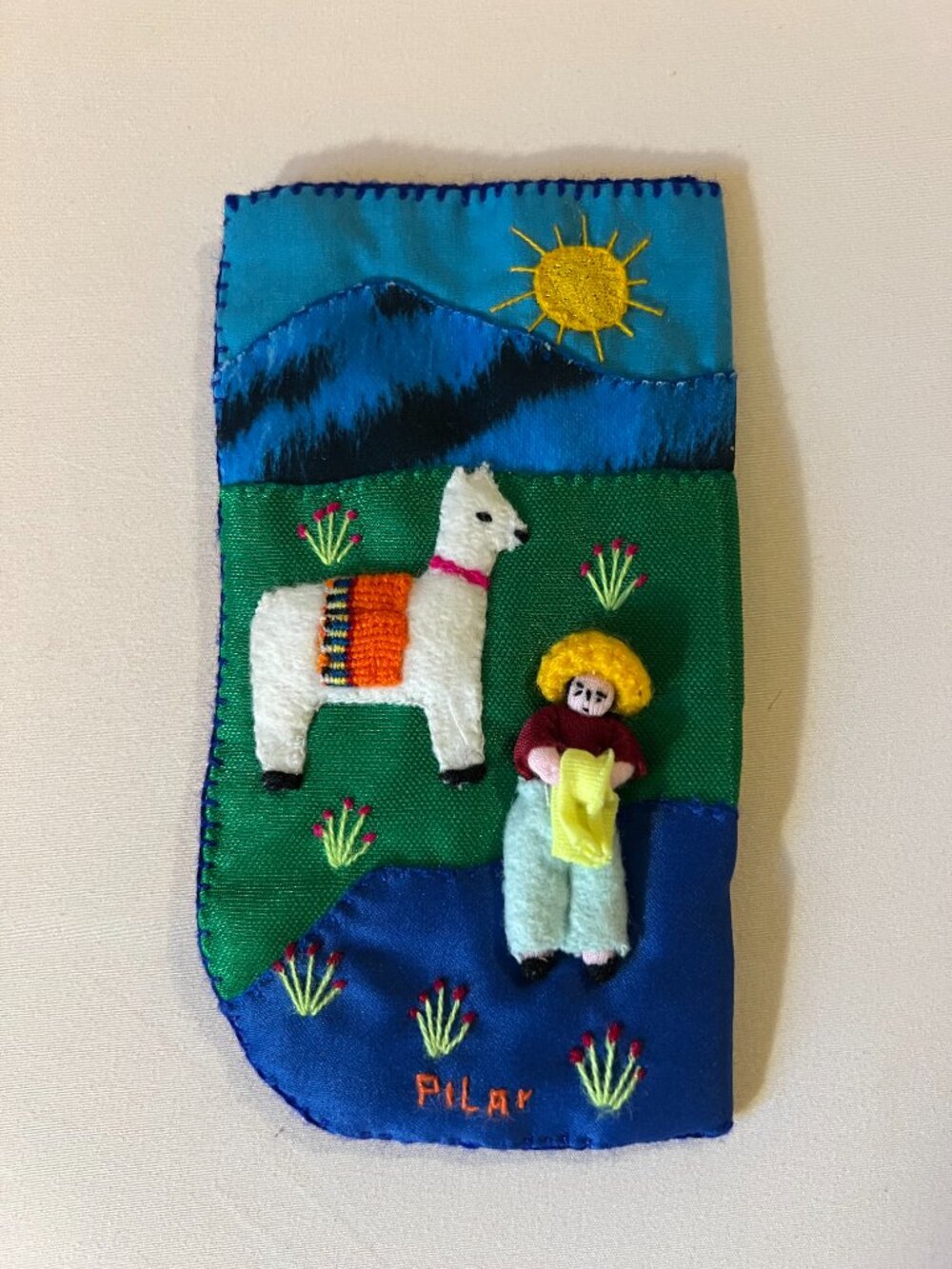 Eye glass case